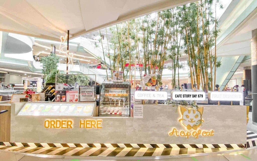 โครงการ A cup of cat