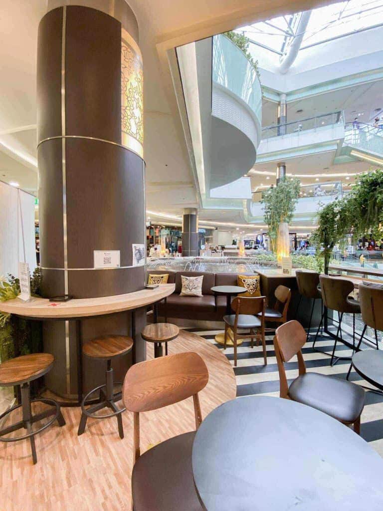 โครงการ A cup of cat