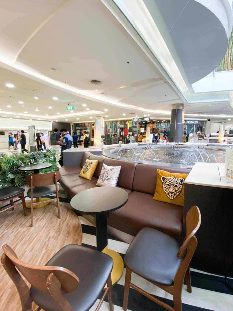 โครงการ A cup of cat