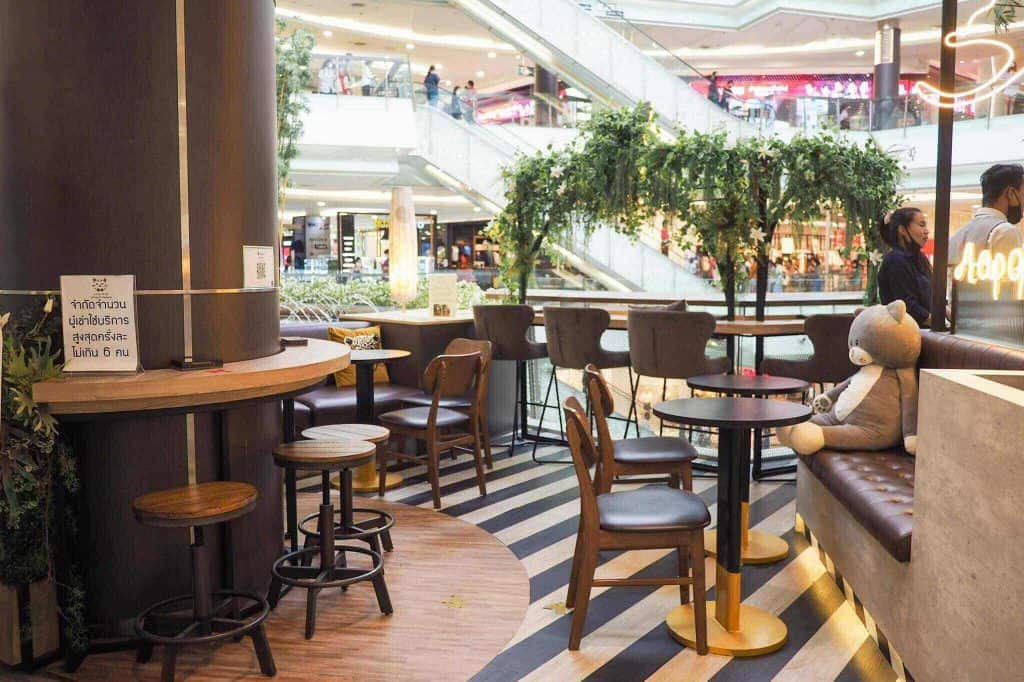 โครงการ A cup of cat